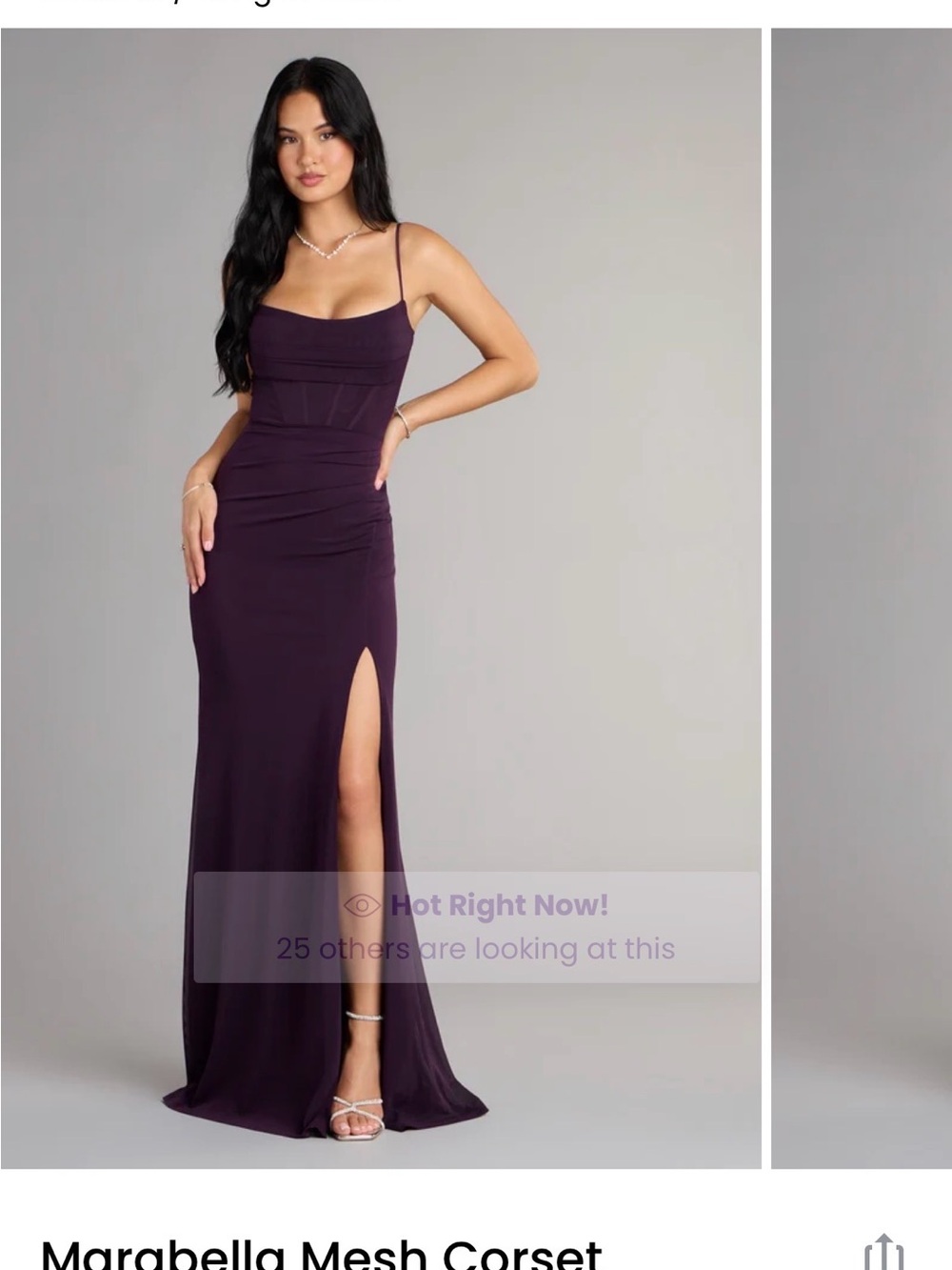 Windsor Deep Plum Mesh Corset Maxi Dress